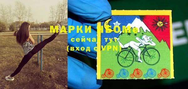 МДПВ Абаза