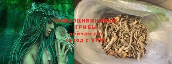МДПВ Абаза