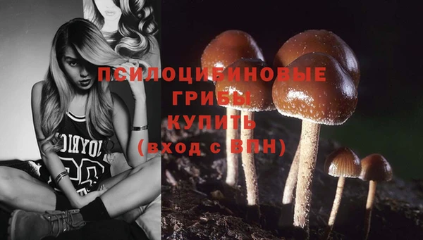МДПВ Абаза