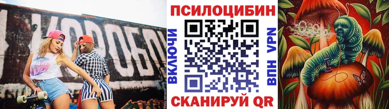 Галлюциногенные грибы Psilocybe  Партизанск 